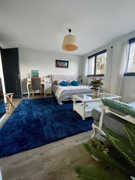 Appartement Independant 30 M² A 500M Du Lac, 2 Velos Et Parking Fournis Sévrier Esterno foto